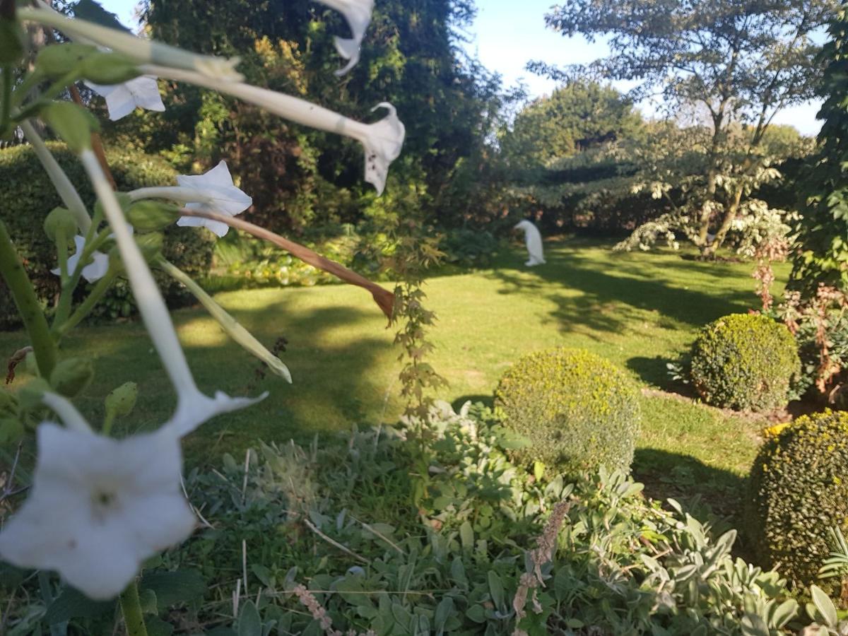 Le Clos Falaw Azay-sur-Cher Exteriör bild
