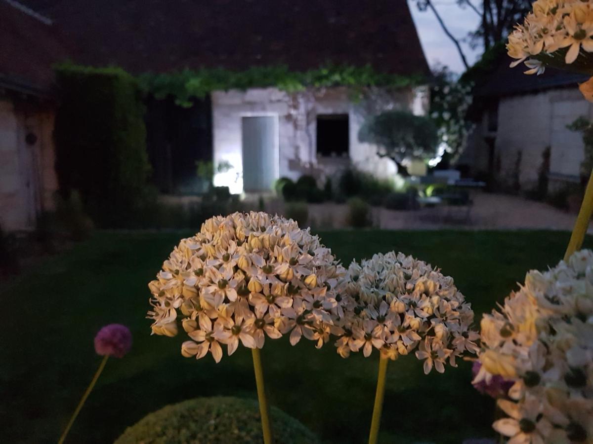 Le Clos Falaw Azay-sur-Cher Exteriör bild